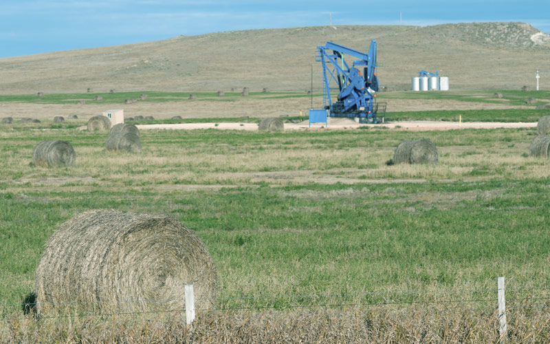 agricoltura e estrazioni petrolifere Ragusa